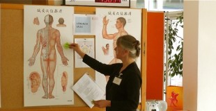 bildung